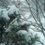 Snow-Storm-Winter-2013-West-Chester-PA (4)